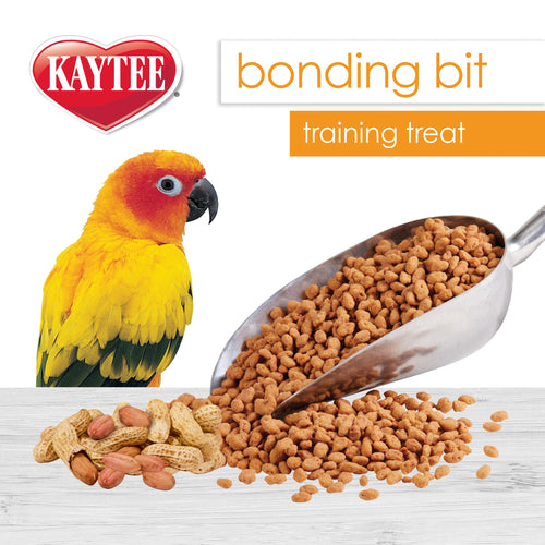 Kaytee Bonding Bits Training Treat for Pet Bird (3 oz Peanut Butter)