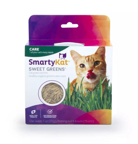 SmartyKat Sweet Greens™ Organic Oat Cat Grass Grow Kit