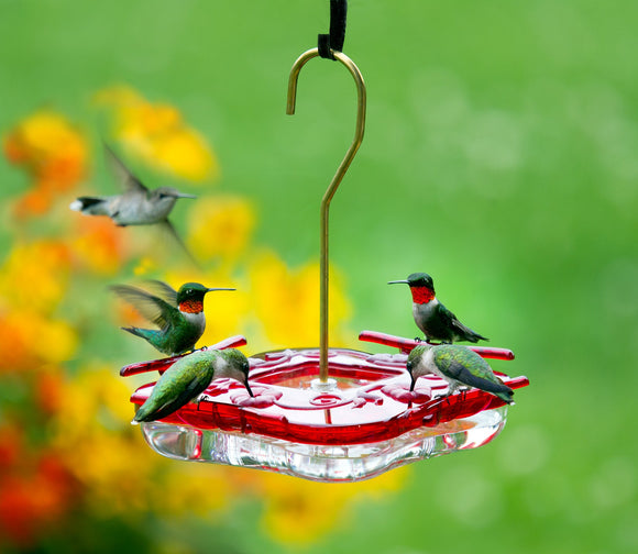 Aspects HighView Square Hummingbird Feeder