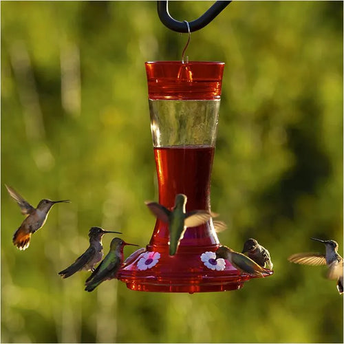 More Birds® Bird Health Natural Red Powder Concentrate Hummingbird Nectar