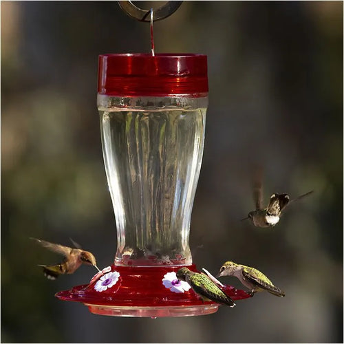 More Birds® Bird Health Clear Liquid Concentrate Hummingbird Nectar