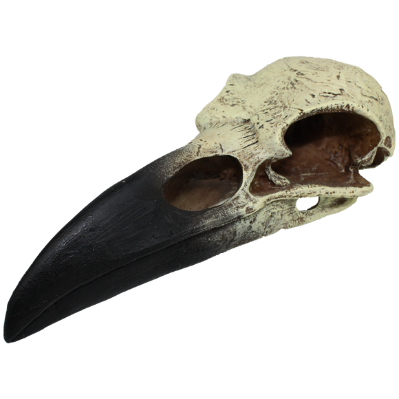 Komodo Raven Skull Hideout (Large)