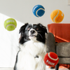 KONG Sport Softies Ball 2-Pk Assorted Dog Toy (Large 2-Pk)