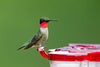 Aspects HighView Square Hummingbird Feeder