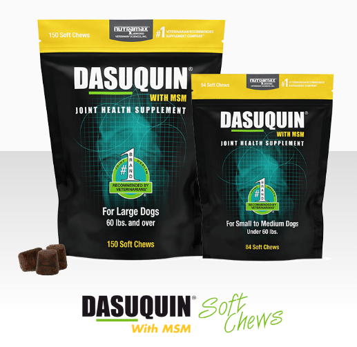 Nutramax Dasuquin® With MSM Soft Chews for Dogs
