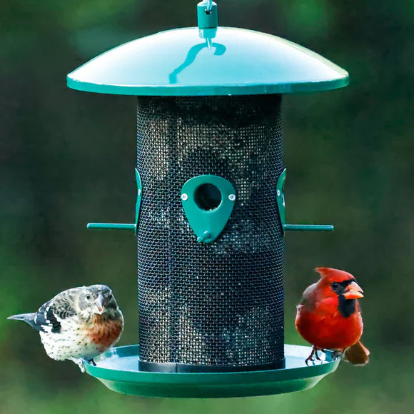 Nature's Way Perch If You Please Verdigris Metal Mesh Mixed Seed Bird Feeder