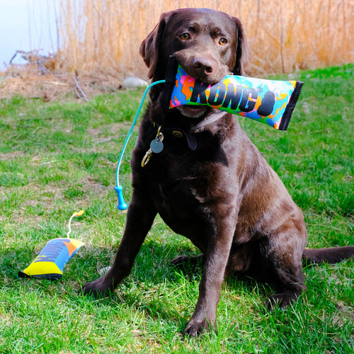 KONG Bunji High-Viz Bumper Dog Toy