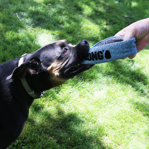 KONG Maxx Ring Dog Toy