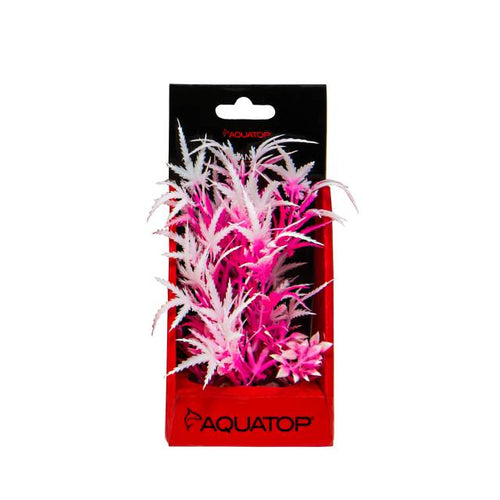 Aquatop Vibrant Fluorescent Cannabis Pink Frost Plant