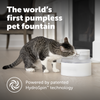 PetSafe Outlast™ Cat Fountain