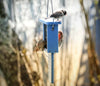 Nature's Way Suet Station Recycled Plastic Tail-prop Bird Feeder