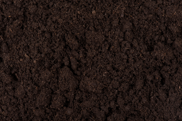 Soil