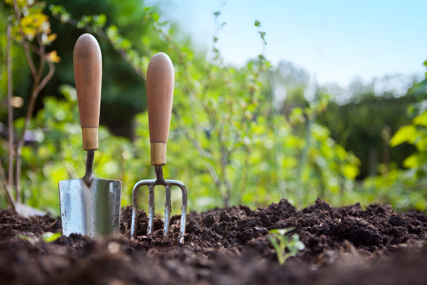 Garden tools placed upright out of soil.