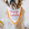 ZippyPaws Birthday Bandana and Bone Squeaky Dog Toy