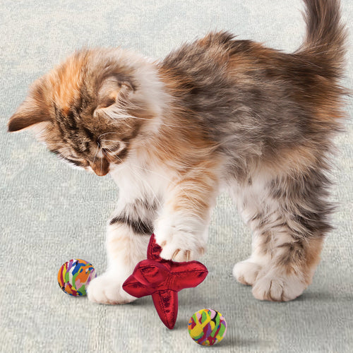 KONG Active Jacks Cat Toys