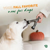 Benebone  Pumpkin Spice Wishbone Limited Edition Durable Dog Chew Toy