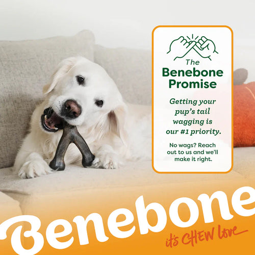 Benebone  Pumpkin Spice Wishbone Limited Edition Durable Dog Chew Toy