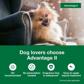 Advantage II Small Dog Vet-Recommended Flea Treatment & Prevention