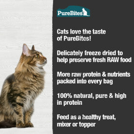 PureBites Freeze Dried Minnow Cat Treats