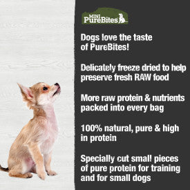 PureBites Beef Liver Mini-PureBites Dog Treat (3 Oz)