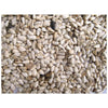 GENERIC SAFFLOWER SEED