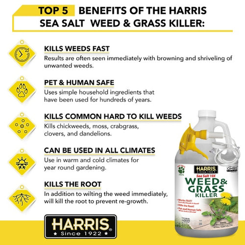 Harris Sea Salt 10X Weed & Grass Killer Spray