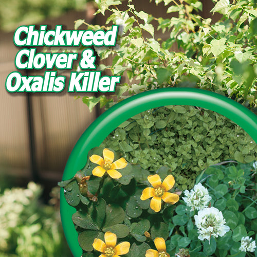 Bonide Chickweed, Clover & Oxalis Killer Concentrate