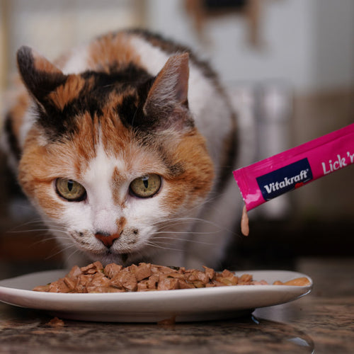 Vitakraft Lick 'n' Lap Snack™ Creamy, Cat Treat with Real Salmon, 4 Count