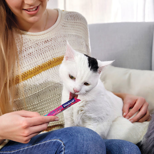 Vitakraft Lick 'n' Lap Snack™ Creamy, Cat Treat with Real Salmon, 4 Count