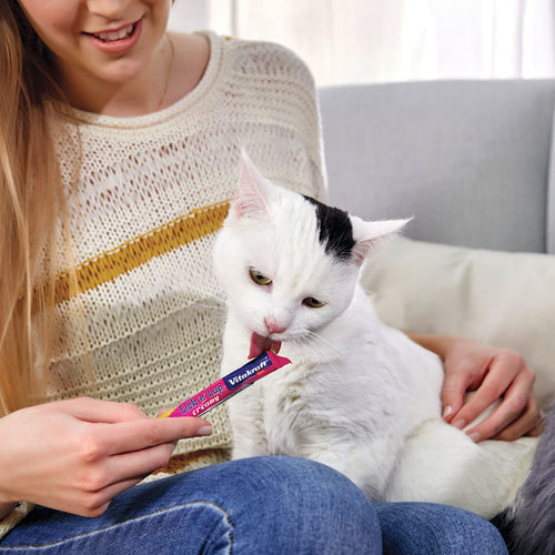 Vitakraft Lick 'n' Lap Snack™ Creamy, Cat Treat with Real Chicken, 4 Count