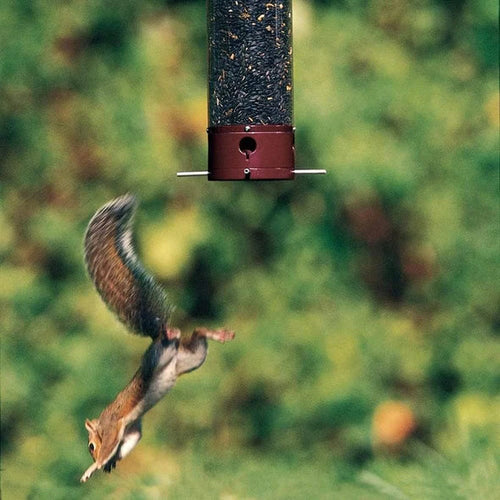 Classic Brands Droll Yankees® Yankee Dipper® Squirrel-Proof Bird Feeder