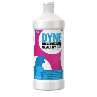 PetAg Dyne™ PRO HG Healthy Gut for Dogs