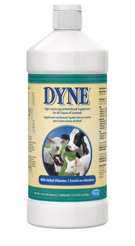 PetAg Dyne® High Calorie Liquid Nutritional Supplement for Livestock
