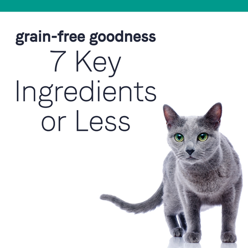 Canidae PURE Grain Free, Limited Ingredient Dry Cat Food, Salmon