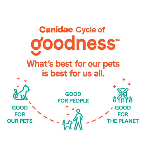 Canidae® Goodness for Joints Formula with Real Salmon Dry Cat Food