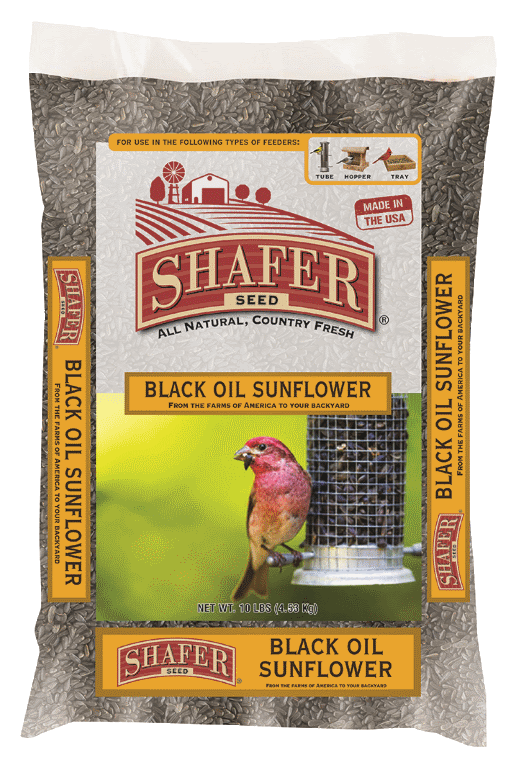 Shafer Seed Black Oil Sunflower Seed 40 lb