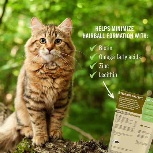 Pet Naturals of Vermont Hairball For Cats