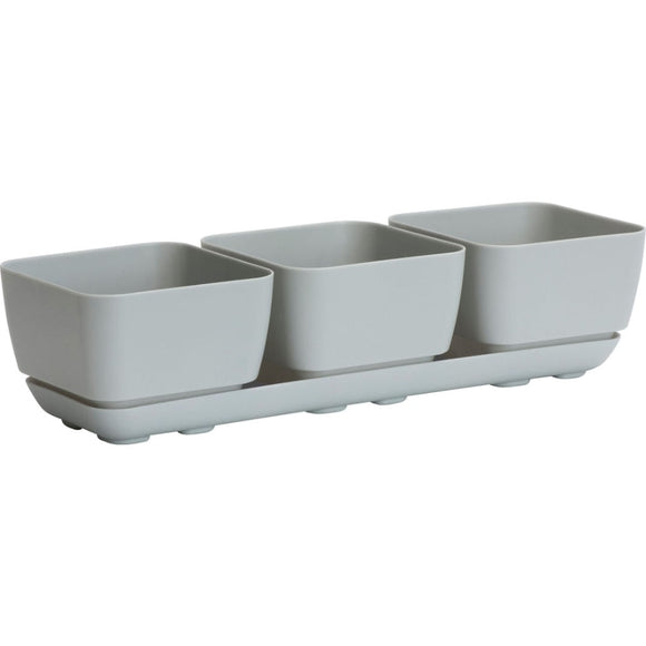 HERB TRIO WITH ATTACHED TRAY