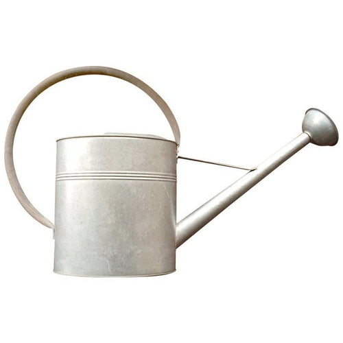 VINTAGE GALVANIZED WATERING CAN