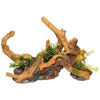 EXOTIC ENVIRONMENTS DRIFTWOOD CENTERPIECE WITH PLANTS