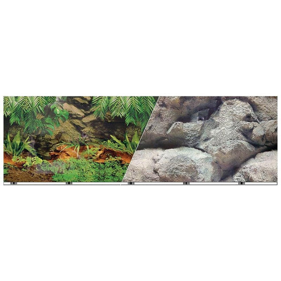 BLUE RIBBON DOUBLE-SIDED RAINFOREST/BOULDER BACKGROUND