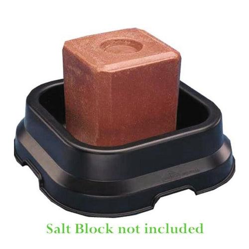 FORTIFLEX SALT BLOCK PAN