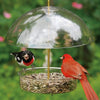 Classic Brands Droll Yankees® Seed Saver® Bird Feeder with Adjustable Dome