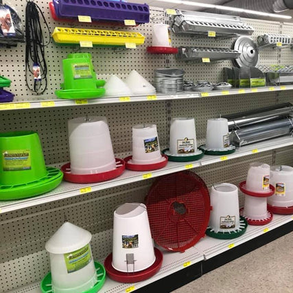 Poultry & LivestockBrowse poultry and livestock.